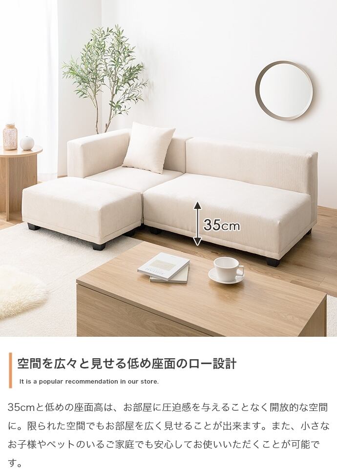 [単品] 2人掛けソファ 北欧テイスト 海外インテリア風 エコロファニチャー