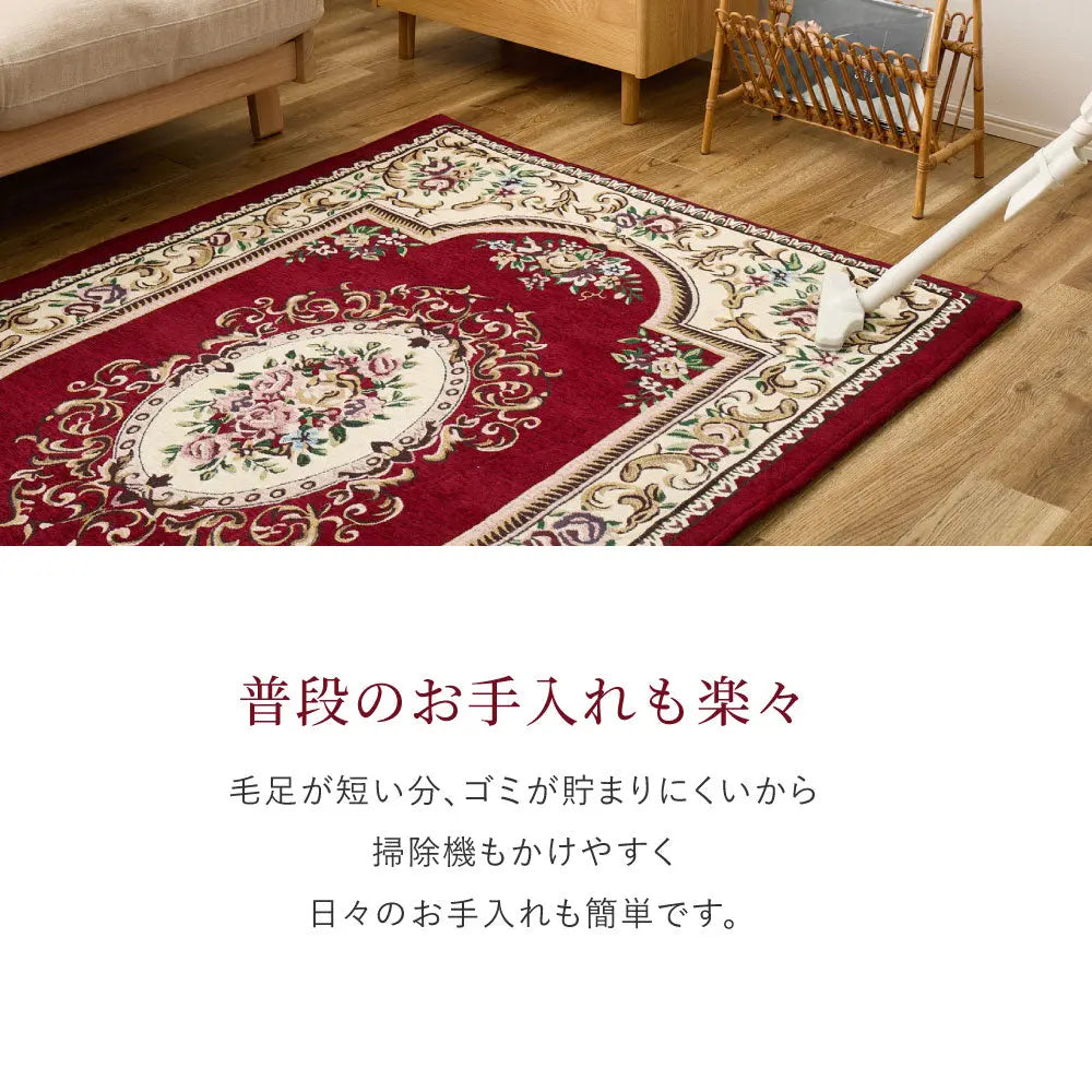 シェニールマット ダミニ 約60×90cm 玄関マット インテリアマット ウレタン入り ふっくら 厚手 室内 屋内 ジャガード織 オールシーズン HAGIHARA