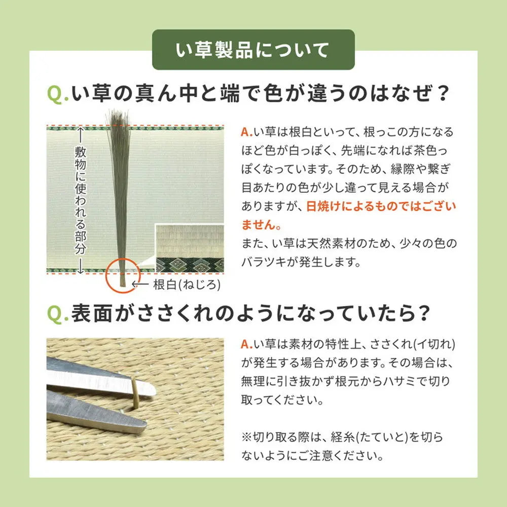 置き畳 四季 約65×65×1.5cm 1枚 縁なし へりなし畳 フロア畳 ユニット畳 い草 カラフル 滑り止め付き HAGIHARA