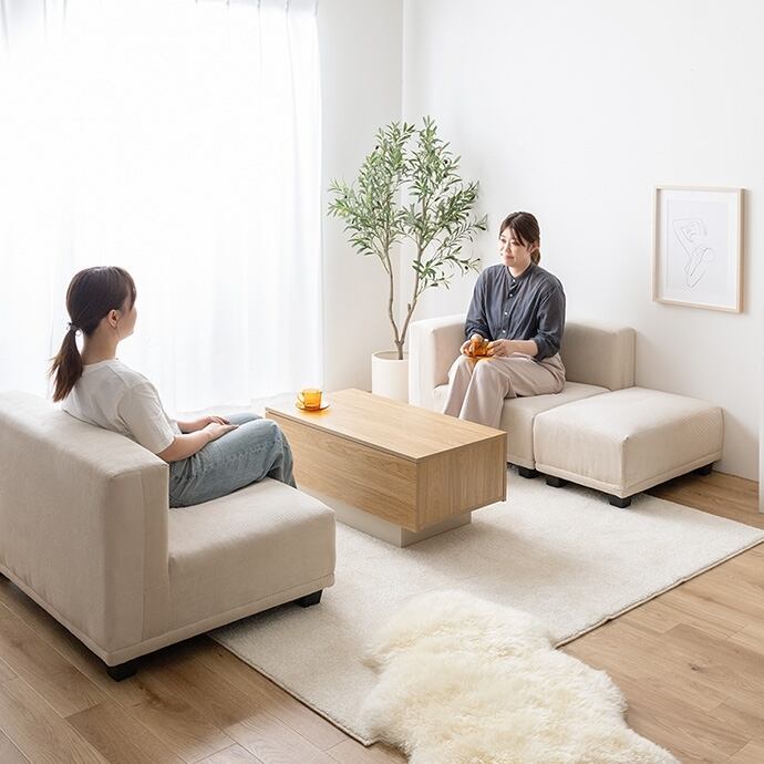 [単品] 2人掛けソファ 北欧テイスト 海外インテリア風 エコロファニチャー