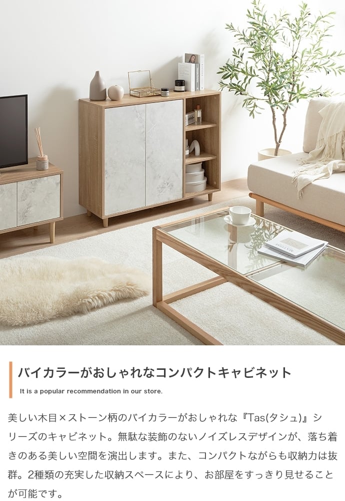 [幅96cm] バイカラーキャビネット ノイズレスデザイン 可動棚 開閉プッシュオープン式 エコロファニチャー