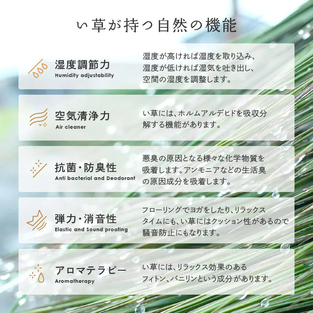国産い草カーペット せとのと 倉ノ戸 本間 8帖 8畳 柄上敷き 花ござ い草ラグ HAGIHARA