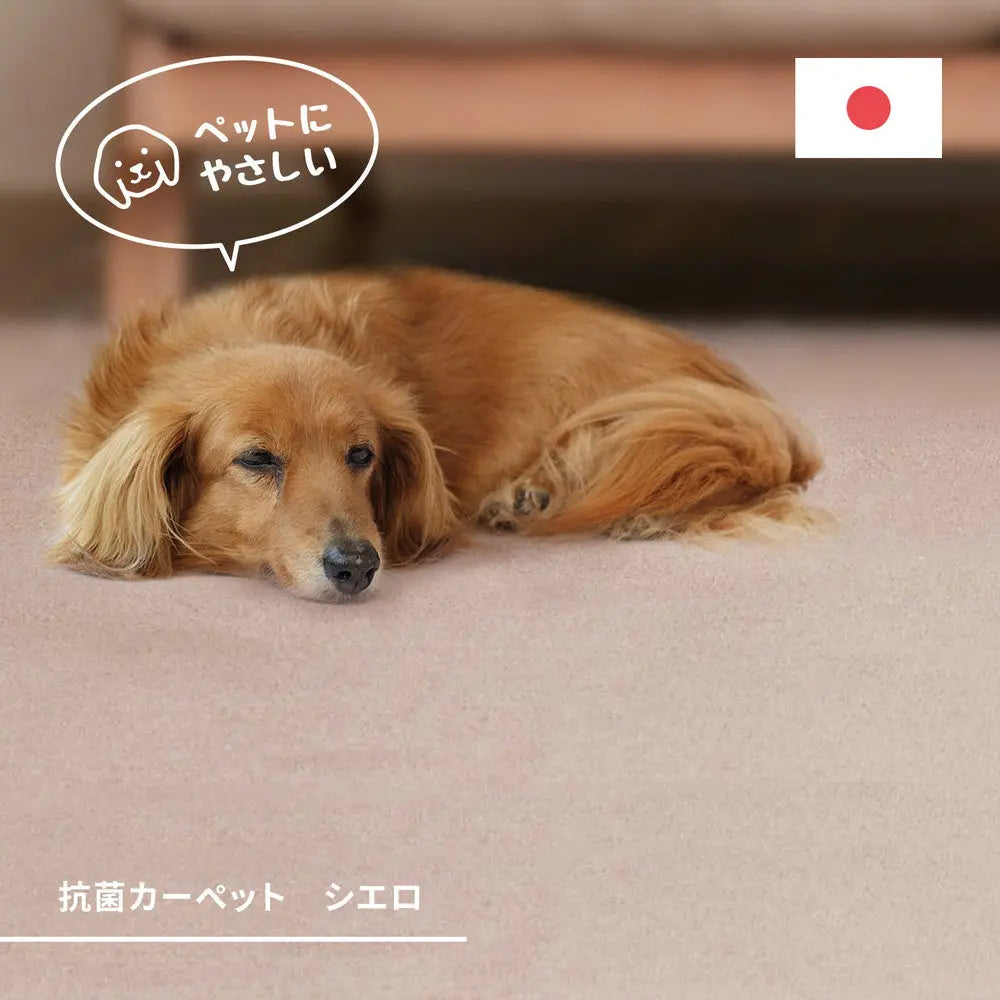 敷き詰めカーペット シエロ 江戸間8帖 8畳 抗菌 防臭 カットパイル ペット 爪引っかかり防止 日本製 HAGIHARA