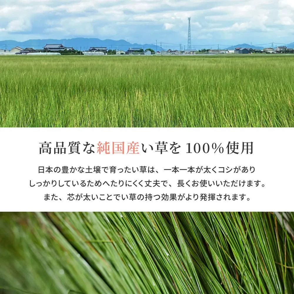 国産 い草 廊下敷き マット エルモード 約95×440cm 裏貼り 滑り止め加工 ロングマット HAGIHARA