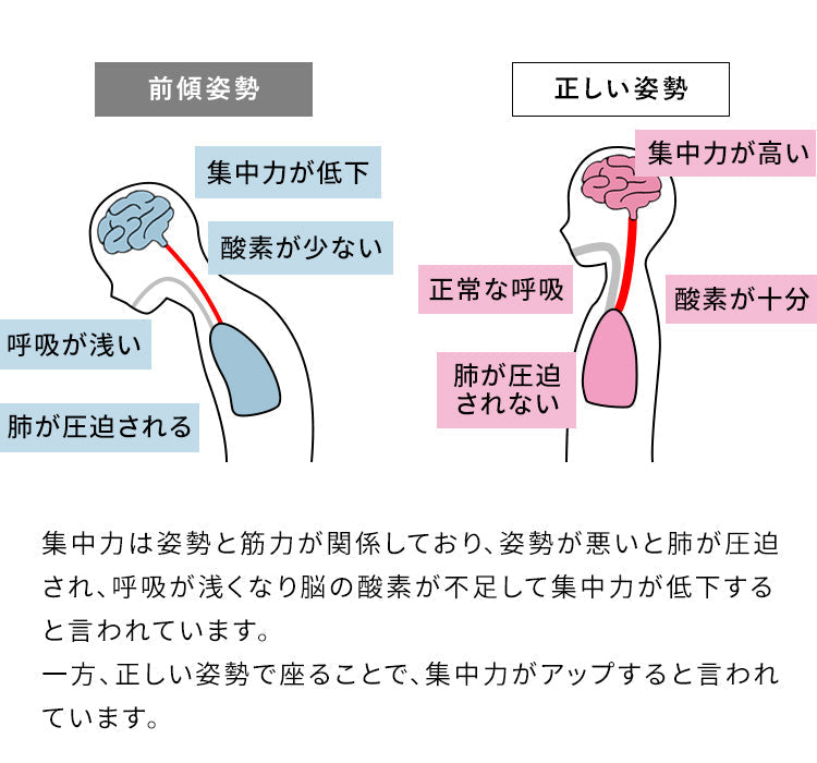 [幅48.5cm] プロポーションチェア 学習椅子 姿勢が良くなる 子供用 バランスチェア 北欧風 キャスター付き 宮武製作所