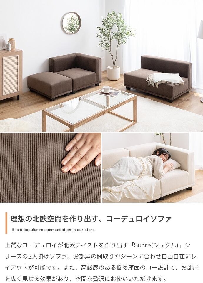 [単品] 2人掛けソファ 北欧テイスト 海外インテリア風 エコロファニチャー
