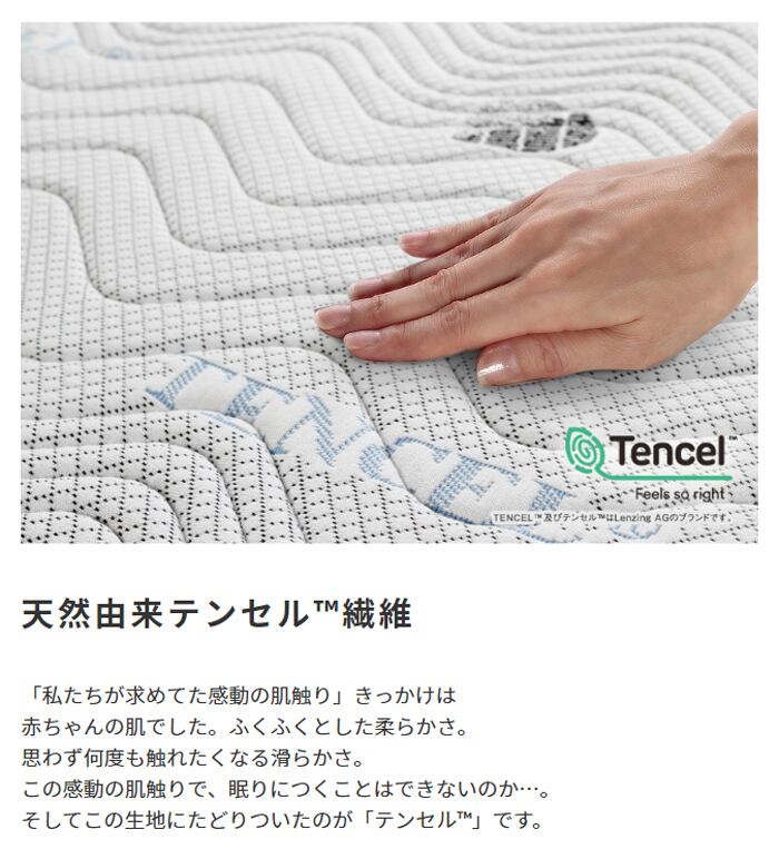 [S/SD/D/Q] ポケットコイルマットレス Excellent Nanotech エクセレント/ナノテック ナカバヤシ