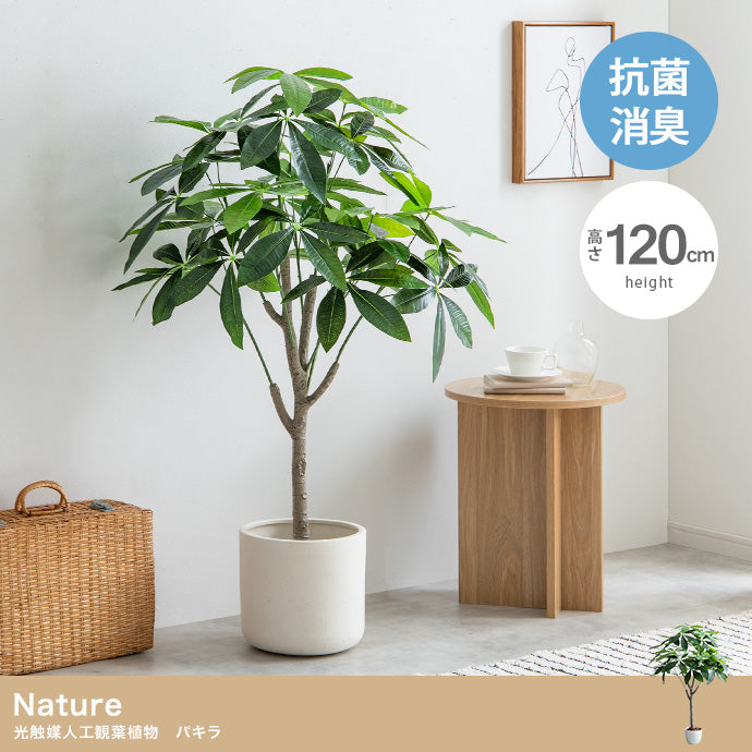 【高さ120cm】Nature 光触媒人工観葉植物　パキラ