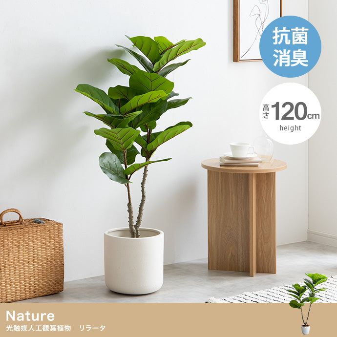 【高さ120cm】Nature 光触媒人工観葉植物　リラータ