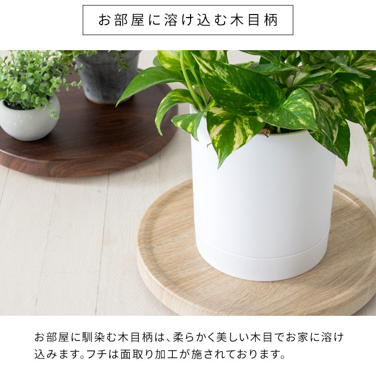 [幅30cm] キャスター付き プランタースタンド Treno 完成品 宮武製作所