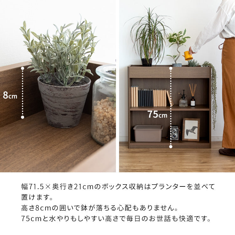 プランターラック Ramus 観葉植物 花台 植木鉢スタンド 鉢植え フラワースタンド スリムデザイン 宮武製作所